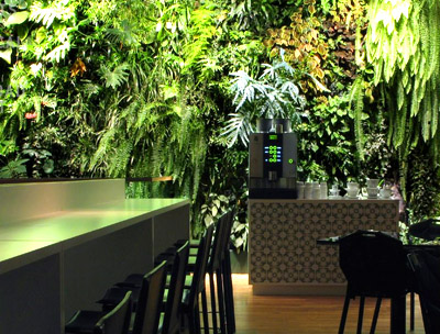 green-wall-restaurant